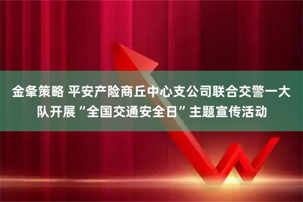 金夆策略 平安产险商丘中心支公司联合交警一大队开展“全国交通安全日”主题宣传活动
