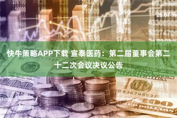 快牛策略APP下载 宣泰医药：第二届董事会第二十二次会议决议公告