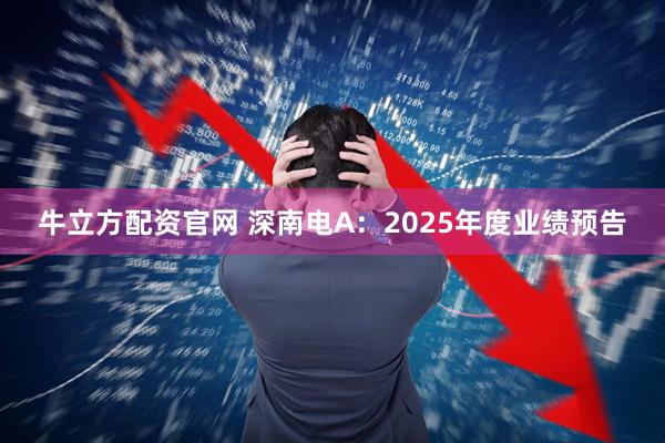 牛立方配资官网 深南电A：2025年度业绩预告
