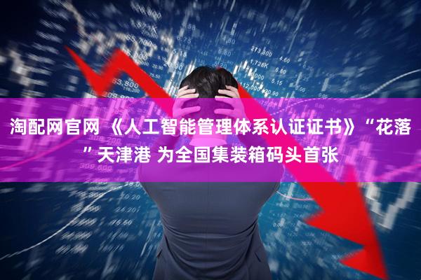 淘配网官网 《人工智能管理体系认证证书》“花落”天津港 为全国集装箱码头首张